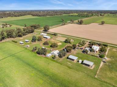 Farm For Sale - VIC - Goornong - 3557 - Family Farm with Ample Possibility  (Image 2)