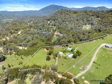 Farm For Sale - VIC - Eildon - 3713 - Experience sustainable, affordable living at its finest!  (Image 2)