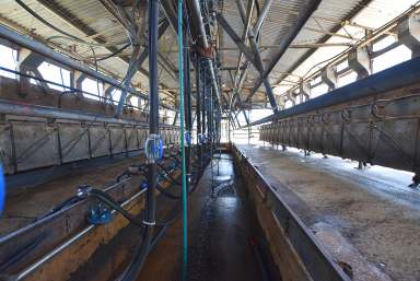 Farm For Sale - VIC - Stanhope - 3623 - Dairy Farm With Excellent Soils  (Image 2)