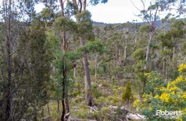 Farm Sold - TAS - Underwood - 7268 - Launceston Fringe Bushland  (Image 2)