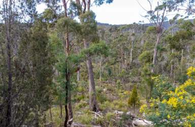 Farm For Sale - TAS - Underwood - 7268 - Launceston Fringe Bushland  (Image 2)