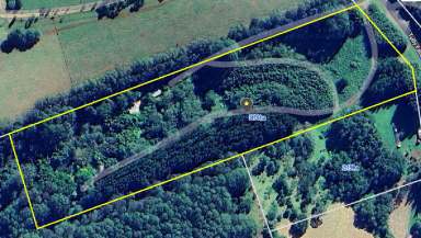 Farm For Sale - QLD - Ravenshoe - 4888 - The Pond Cottage  (Image 2)