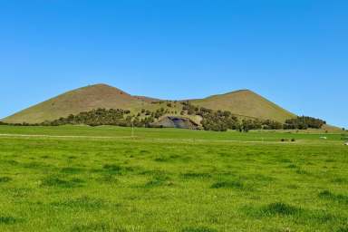 Farm For Sale - VIC - Derrinallum - 3325 - Prime Grazing Land – Development Opportunity  (Image 2)