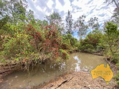 Farm For Sale - QLD - Monogorilby - 4626 - Strong breeder country in tightly held Monogorilby district  (Image 2)