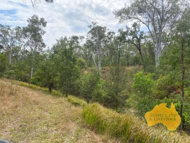 Farm For Sale - QLD - Monogorilby - 4626 - Strong breeder country in tightly held Monogorilby district  (Image 2)