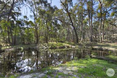 Farm For Sale - VIC - Scarsdale - 3351 - Nature Escape On Approx. 16 Acres - Perfect For Your Dream Home  (Image 2)