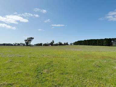 Farm For Sale - SA - Naracoorte - 5271 - 58 Acres - Ideal Weekender, Add on Block or First Time Farmer  (Image 2)