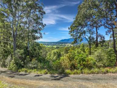 Farm For Sale - NSW - Kendall - 2439 - Views for Days  (Image 2)