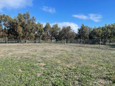 Farm For Sale - WA - Bookara - 6525 - Beautiful Lifestyle Property!  (Image 2)