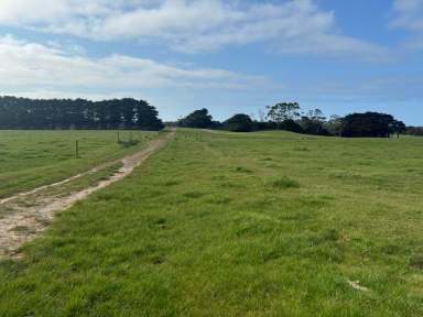 Farm For Sale - TAS - Pegarah - 7256 - King Island Dairy Farm  (Image 2)