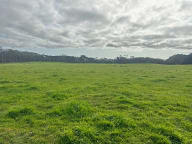 Farm For Sale - TAS - Pegarah - 7256 - King Island Dairy Farm  (Image 2)