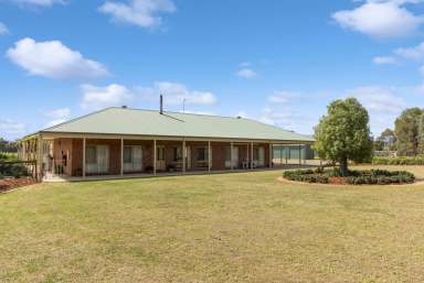 Farm For Sale - VIC - Marong - 3515 - Delightful Farmlet with Dam and Shedding  (Image 2)