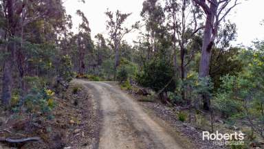 Farm For Sale - TAS - Underwood - 7268 - Underwood Bushland Sale  (Image 2)