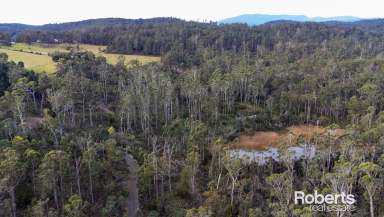 Farm For Sale - TAS - Underwood - 7268 - Underwood Bushland Sale  (Image 2)