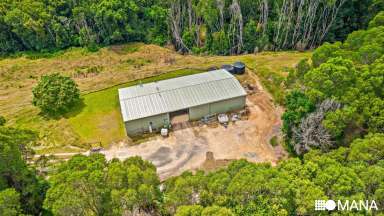 Farm For Sale - NSW - Chillingham - 2484 - Dream Acreage Escape with Mountain Views  (Image 2)