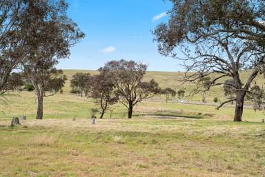 Farm Auction - NSW - Gunning - 2581 - Peaceful Country Living  (Image 2)