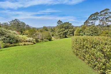 Farm For Sale - NSW - Hannam Vale - 2443 - Unrivalled Valley Views  (Image 2)