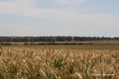 Farm For Sale - WA - Korrelocking - 6485 - 'HAMMONDS'  (Image 2)