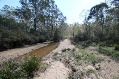 Farm For Sale - NSW - Glen Allen - 2631 - Bush Retreat  (Image 2)