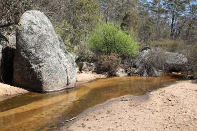 Farm For Sale - NSW - Glen Allen - 2631 - Bush Retreat  (Image 2)