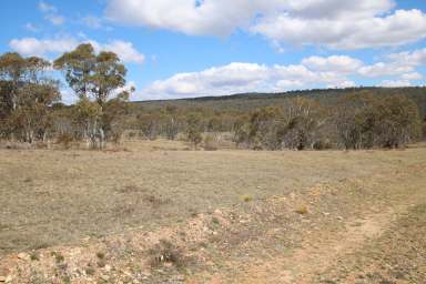 Farm For Sale - NSW - Peak View - 2630 - Nature is your Backdrop  (Image 2)