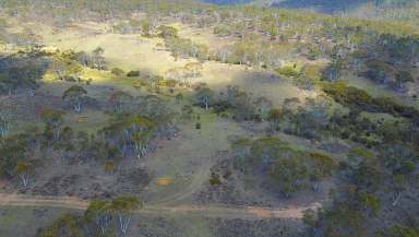 Farm For Sale - NSW - Peak View - 2630 - Nature is your Backdrop  (Image 2)