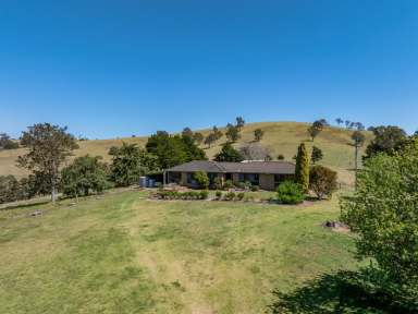 Farm For Sale - NSW - Bega - 2550 - FARM LIFESTYLE CLOSE TO BEGA!  (Image 2)