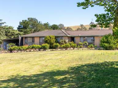 Farm For Sale - NSW - Bega - 2550 - FARM LIFESTYLE CLOSE TO BEGA!  (Image 2)