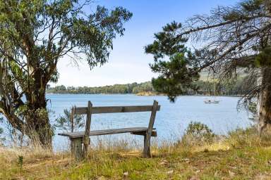 Farm For Sale - TAS - Birchs Bay - 7162 - A sea change awaits: The Cherry Farm's deep waterfront escape  (Image 2)