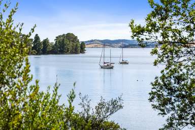 Farm For Sale - TAS - Birchs Bay - 7162 - A sea change awaits: The Cherry Farm's deep waterfront escape  (Image 2)