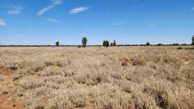 Farm For Sale - QLD - Mitchell - 4465 - Brigalow, Ironbark & Box Country - 94mm Rain - Dams Full  (Image 2)