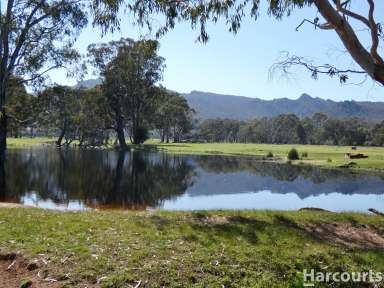 Farm For Sale - VIC - Glenisla - 3314 - Stunning Farming & Lifestyle Property  (Image 2)