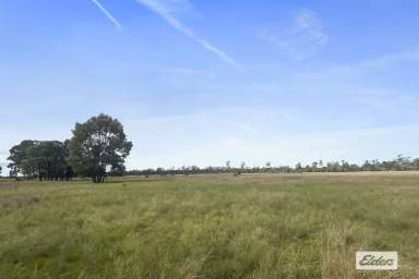 Farm For Sale - QLD - Chinchilla - 4413 - The Best Value Brigalow Block on the Market!  (Image 2)