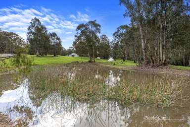 Farm For Sale - VIC - Murrindindi - 3717 - "How's the Serenity" on the Murrindindi River!  (Image 2)