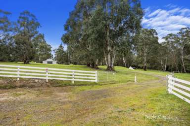 Farm For Sale - VIC - Murrindindi - 3717 - "How's the Serenity" on the Murrindindi River!  (Image 2)