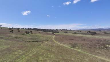 Farm For Sale - QLD - Pikedale - 4380 - South-East Queensland Grazing Lease Opportunity  (Image 2)