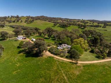 Farm Auction - NSW - Humula - 2652 - "Umbango South" Humula/Tarcutta/Holbrook, NSW - Situated in the renowned Eastern Riverina area of Southern New South Wales  (Image 2)