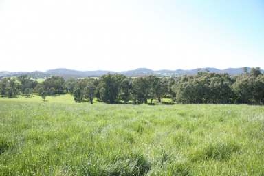 Farm Auction - NSW - Humula - 2652 - "Umbango South" Humula/Tarcutta/Holbrook, NSW - Situated in the renowned Eastern Riverina area of Southern New South Wales  (Image 2)