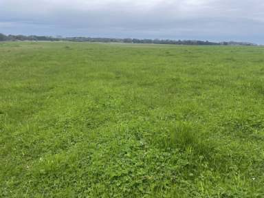 Farm For Sale - VIC - Hamilton - 3300 - For Lease by Tender  (Image 2)