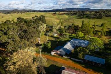 Farm For Sale - NSW - Bungonia - 2580 - Spring Ponds Fine Wool Merino Sheep Station,1288 acres,15 Lots , 2 Road Frontages, Natural Springs,Running Creek, Multiple Dwellings.  (Image 2)