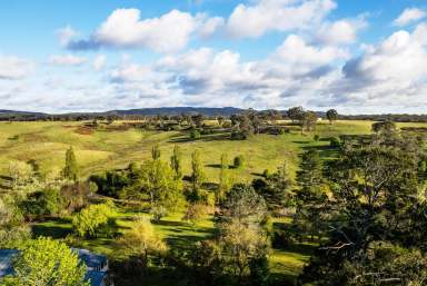 Farm For Sale - NSW - Bungonia - 2580 - Spring Ponds Fine Wool Merino Sheep Station,1288 acres,15 Lots , 2 Road Frontages, Natural Springs,Running Creek, Multiple Dwellings.  (Image 2)