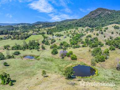 Farm For Sale - QLD - Cedar Pocket - 4570 - Lifestyle And Cattle Property East Of Gympie  (Image 2)