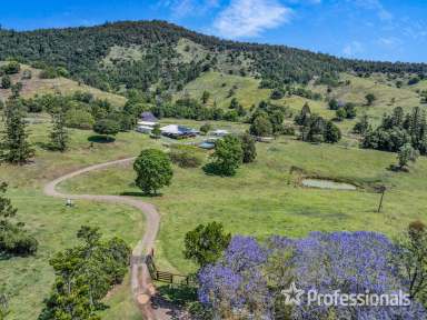 Farm For Sale - QLD - Cedar Pocket - 4570 - Lifestyle And Cattle Property East Of Gympie  (Image 2)