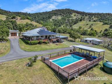 Farm For Sale - QLD - Cedar Pocket - 4570 - Lifestyle And Cattle Property East Of Gympie  (Image 2)