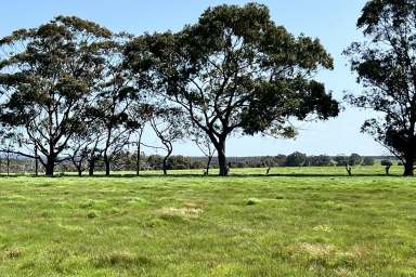 Farm For Sale - WA - Drome - 6330 - Elevated 1-Hectare Lot  (Image 2)