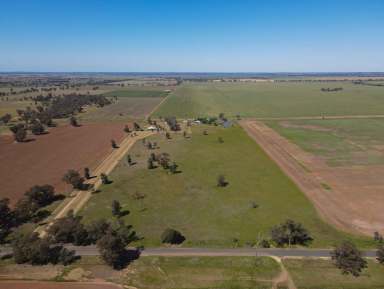 Farm Auction - NSW - Barmedman - 2668 - 32 Acres with Charming Country Cottage  (Image 2)