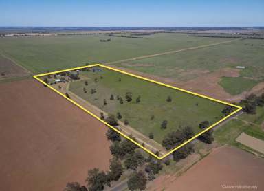 Farm For Sale - NSW - Barmedman - 2668 - 32 Acres with Charming Country Cottage  (Image 2)