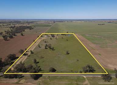 Farm For Sale - NSW - Barmedman - 2668 - 32 Acres with Charming Country Cottage  (Image 2)