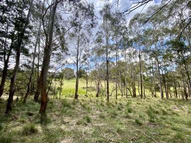 Farm For Sale - NSW - Majors Creek - 2622 - Wilson Lane  (Image 2)