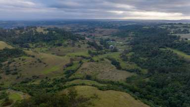 Farm For Sale - NSW - Picton - 2571 - Unique opportunity to acquire land of scale and size minutes to Picton CBD  (Image 2)